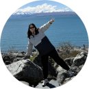 City Car Service | 25년 10월 뉴질랜드 여행 / 5-6 일차 여행일기 : 크라이스트처치 ➡️ 아카로아 ➡️ 테카포 🇳🇿