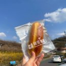 에또르팡 이미지