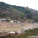 여울애꽃물들인 이미지