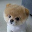 부