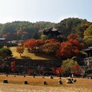 (주)삼성궁