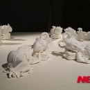 삼라만상 이미지