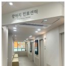 럭키동물병원