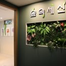 숲속세신
