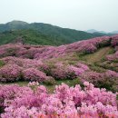 경성사
