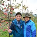 고성고등학교 이미지