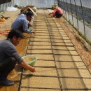 {조선간장이벤트}서리태/팥/찰흑미/찰현미/찰보리/일반현미/찹쌀/들깨/녹두/율무/찰수수 이미지