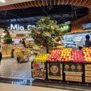 신광카정비 | 대만 타이베이 4박5일 자유여행 일정 총정리(5인 가족 부모님 환갑 해외여행)