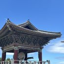 삼아아파트 | 제주 약천사 서귀포 가볼만한 곳 &amp; 중문 여행 코스로 추천