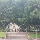 나무그늘파크(park) 이미지