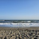 코코마요 이미지