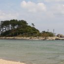 진하해수욕장 이미지