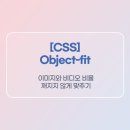 오늘도 FIT 이미지