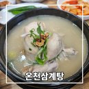 경산온천 | 경산 삼계탕 맛집 온천삼계탕 남천에서 몸보신한 후기