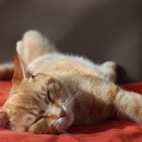 광안골프연습장 이미지