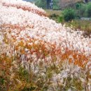 이현IC주유소 이미지