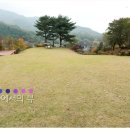 들꽃피는언덕 캠핑장 이미지