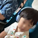 치치헤어클럽 | 31개월 아기랑 나트랑 2박4일 여행일정 알마리조트 숙박 후기 키즈프로그램 시내 맛집 베트남 항공