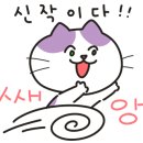 피노키오서점 이미지