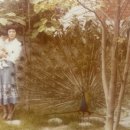 코스방화장품