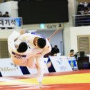 보령종합체육관 이미지