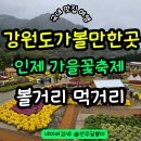 인제군농특산물전시판매장 주차장 | 강원도 인제 가볼만한곳 가을 꽃축제 놀거리 볼거리 애견동반 기간 장소 리뷰