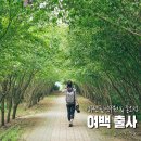 종오정 | 경주산림연구원 & 종오정 사진여행 : 여백 출사 후기