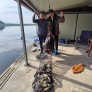 성호낚시터 이미지