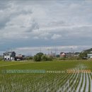 오향리선돌 | 음성 오향리 선돌(2019.06): 지도에도 없는 곳, 방치된 유산