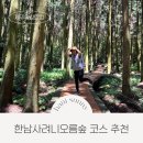 오름자산연구소 | 한남시험림 한남사려니오름숲 탐방 예약방법 소요시간