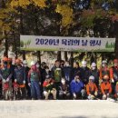 육림도 이미지
