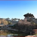 수원-1600 이미지