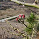 안젤라농장 이미지