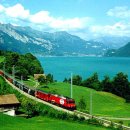 고향의 여름 이미지