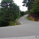 도리사로 | 경북 구미 냉산(694m) 산사에서 만난 음악회와 도리사 점심 공양(2025.10