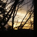 별빛랜드 이미지