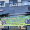 가마솥해물탕 | 남해 맛집 팔도맛집 누룽지전복죽 해물탕 후기