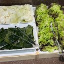 다담뜰한식뷔페 영천점 | 영천 현지인 맛집 새단장한 한식뷔페 다담뜰