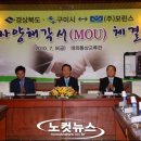 (주)모린스