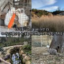 청솔농장 | [강릉] 사천 | 아이랑 가볼만한 곳 추천, 동물먹이주기체험 '뒷뜨루'