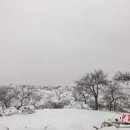상서로 이미지