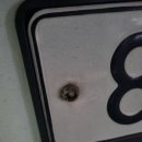 대곡빅마트 이미지