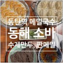 동해멸치국수 - 천안시 동남구 | 동탄역 메밀국수 맛집 동해소바 수제만두 판메밀국수 후기