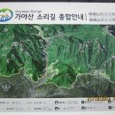 해인사 소리길 이미지