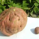 오늘의 포토뉴스 2007.11.01 목요일 이미지