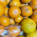 돌담농장 이미지