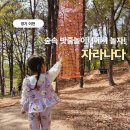 이섭대천로 5 | 이천핫플 자라나다 숲놀이터 후기 아이랑 뛰어놀기 좋은 밧줄놀이터(feat.꿀잠예약)
