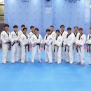 용인대서울태권도장 이미지