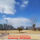 찬스부동산공인중개사사무소 이미지