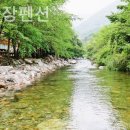 용문산장펜션